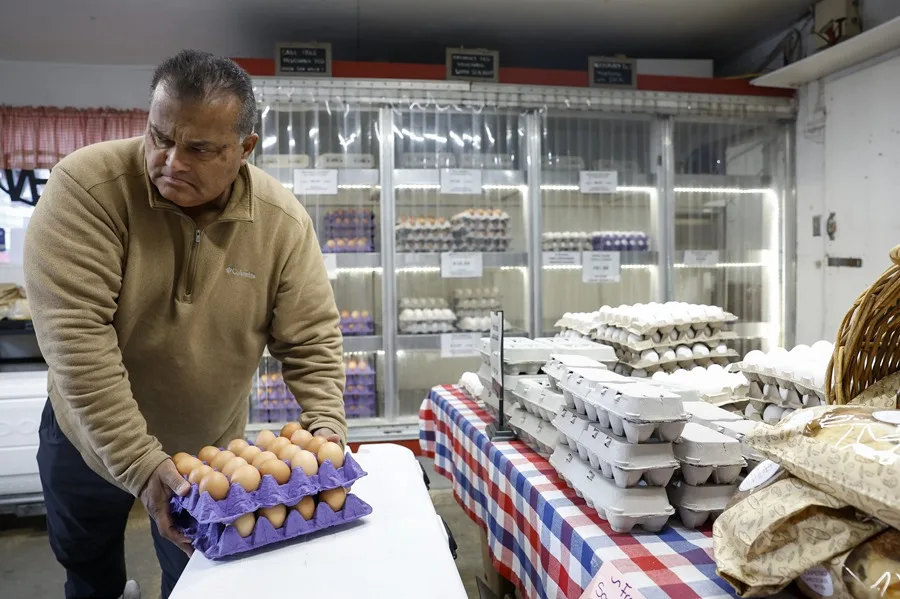 Aumento del precio del huevo en España Qué alternativas de fuente de proteína hay
