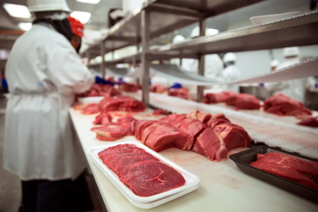 Bancos de comida en riesgo: ¿Qué pueden hacer las familias?