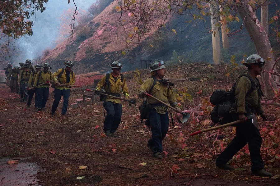 Incendios forestales en EE.UU.: daños millonarios y riesgo para la agricultura