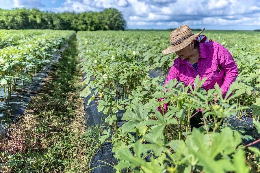 Emprendedores latinos reciben menos del 1% de financiamiento