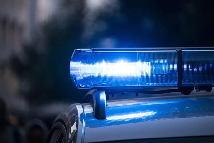 Mueren en Michigan tres niños tras caer árbol sobre un auto (1)