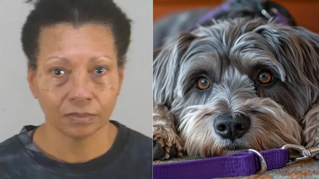Mujer es arrestada tras ahogar a perro en aeropuerto internacional de Orlando