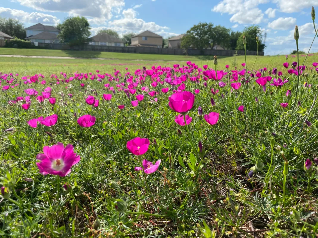 Eventos imperdibles en Houston esta primavera