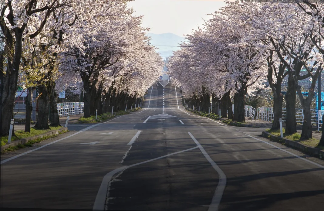 Qué eventos puedes disfrutar esta primavera en EE. UU.