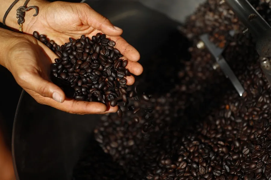 Chiapas reactiva la exportación de café a Estados Unidos tras exención arancelaria