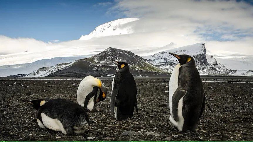 Islas de Heard y McDonald recibe aranceles de Trump un archipiélago sin humanos