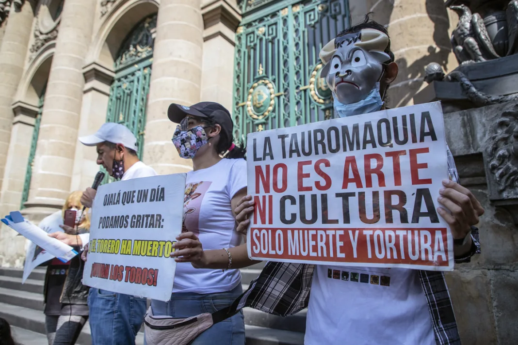 Michoacán prohíbe las corridas de toros y los espectáculos violentos con animales