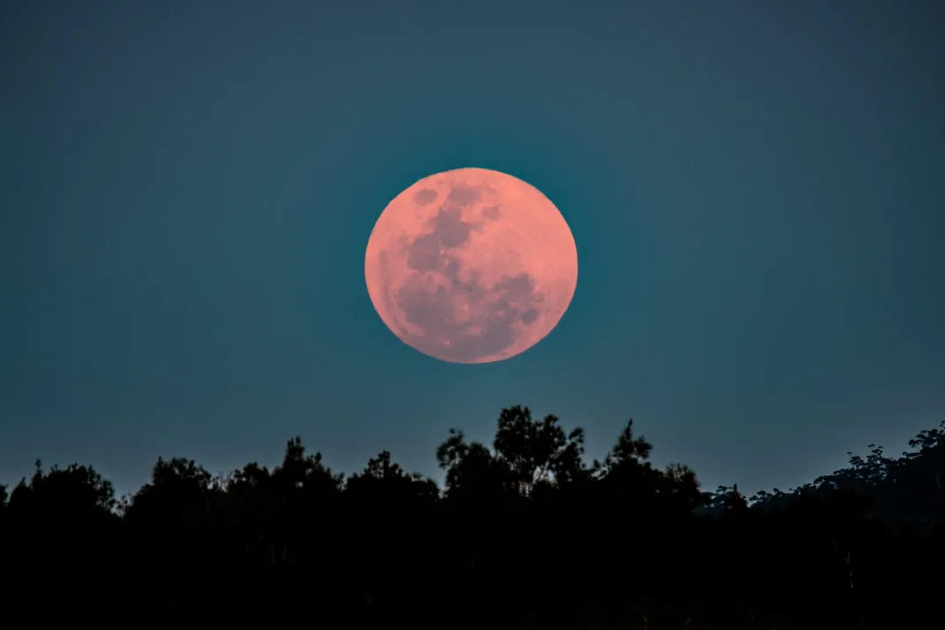 Luna Rosa 2025: ¿dónde y a qué hora verlo desde EE.UU. y México?