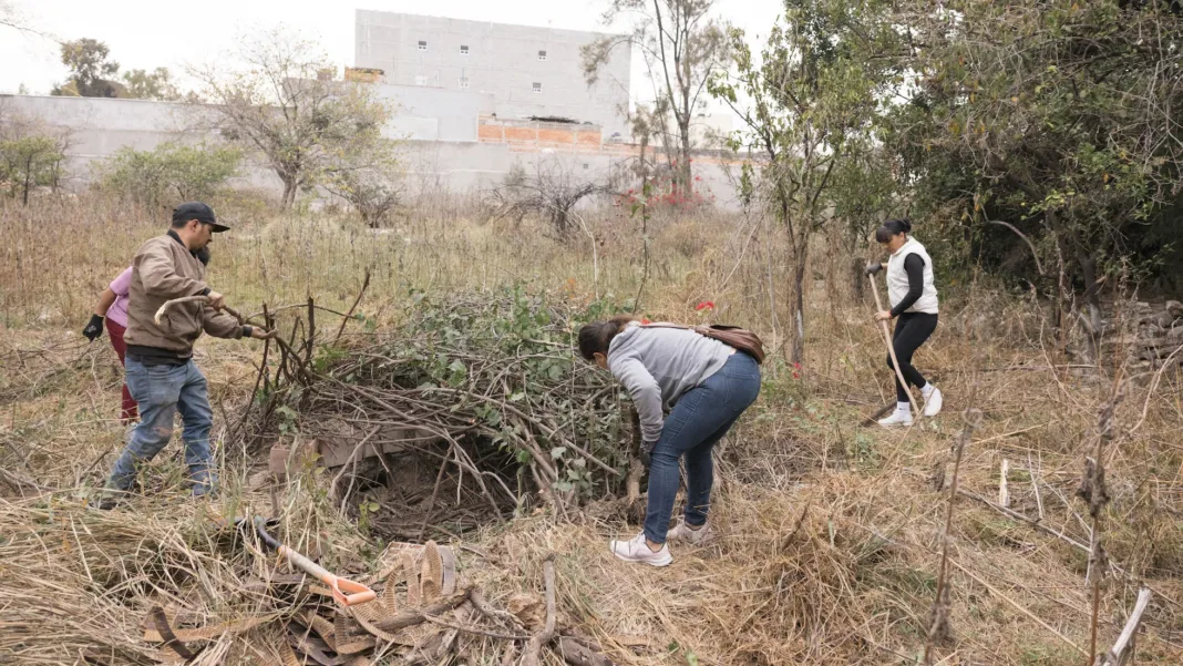 Terror en Guanajuato: hallan 16 cuerpos en fosa clandestina