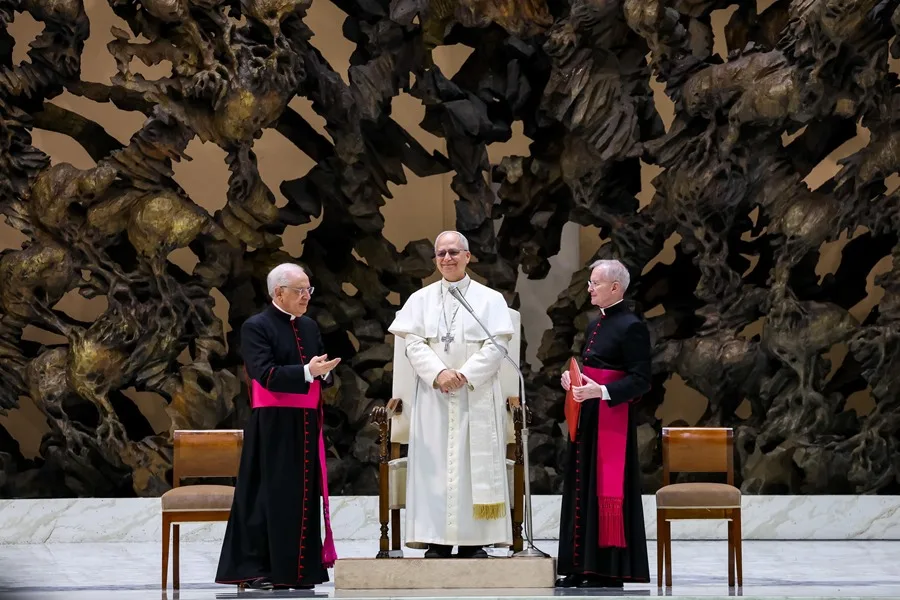 obispo nombrado por el papa León XIV