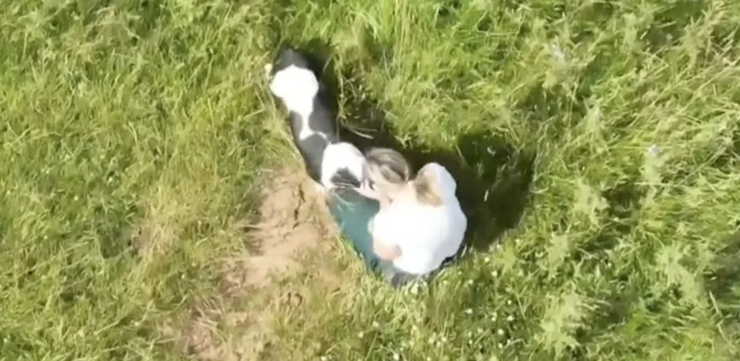 Emotivo reencuentro entre una mujer y su perro anciano Frank perdido en Reino Unido
