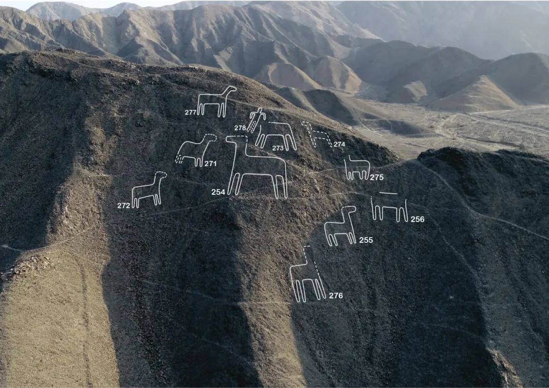 Perú enciende alarmas al recortar área protegida de las Líneas de Nazca