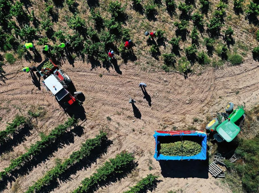 Pensilvania lleva a tribunales a USDA por recortes a programa de ayuda alimentaria