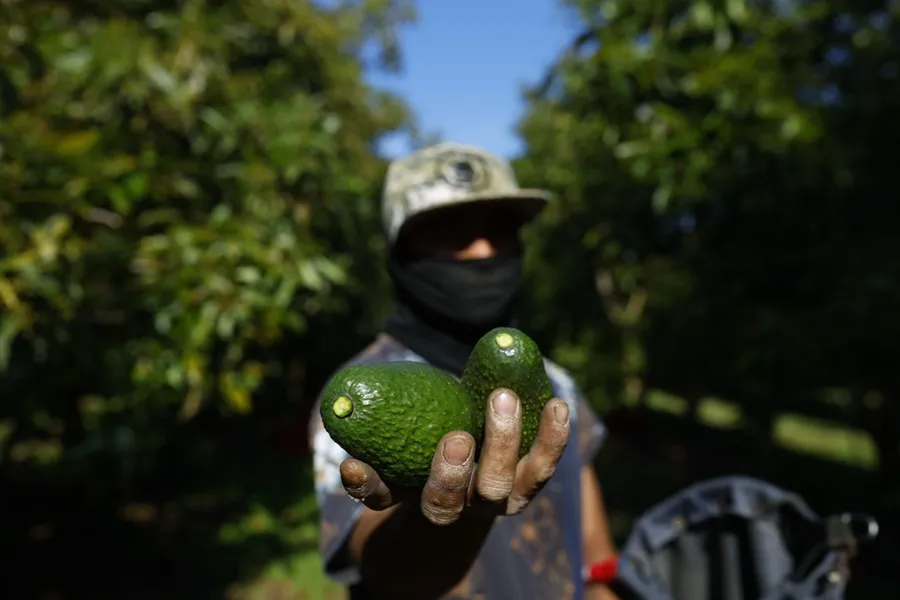 EE.UU. niega haber ofrecido a México reducción de aranceles: ¿Qué hay detrás?