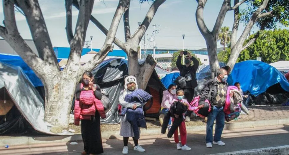 cientos de niños migrantes que el Gobierno puso bajo custodia