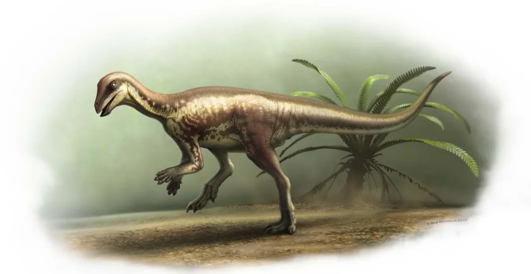 ¿Dinosaurio del tamaño de un perro? Científicos descubren nueva especie