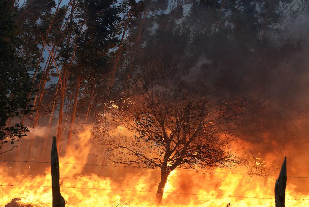 Estos tres estados están en riesgo extremo por incendios forestales