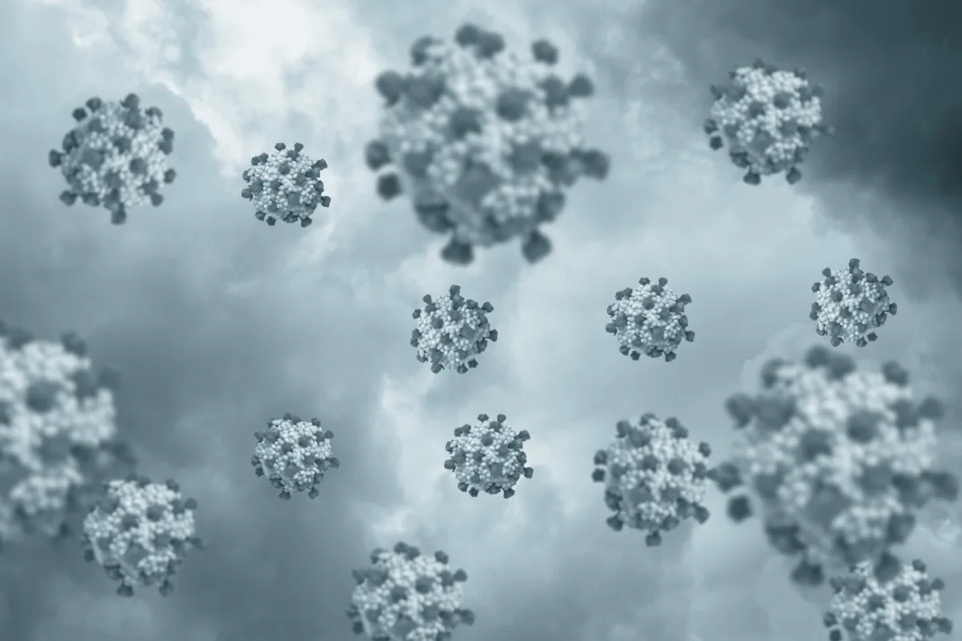 Nueva cepa de norovirus se propaga en EE.UU.: ¿Qué dicen las autoridades?