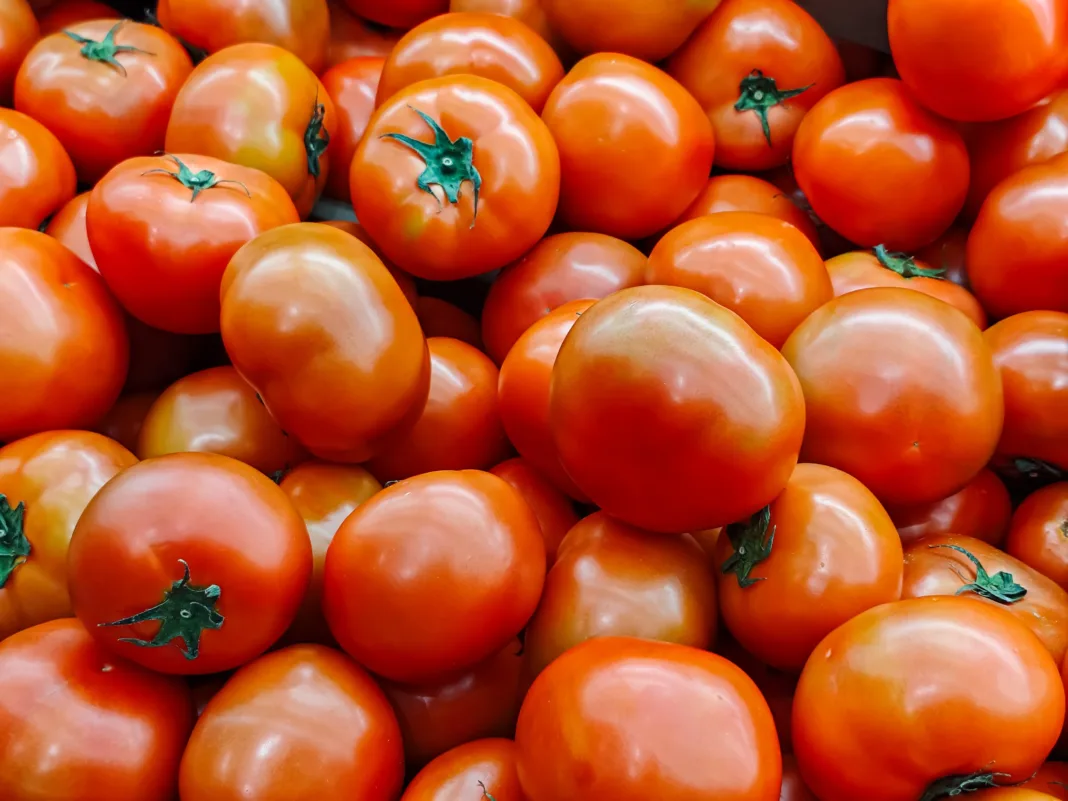 Riesgo en tu cocina: FDA emite advertencia urgente por tomates contaminados