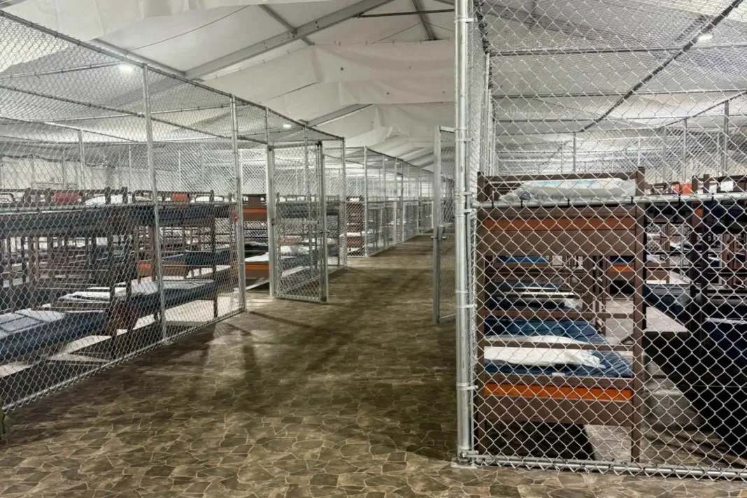 Migrantes en jaulas