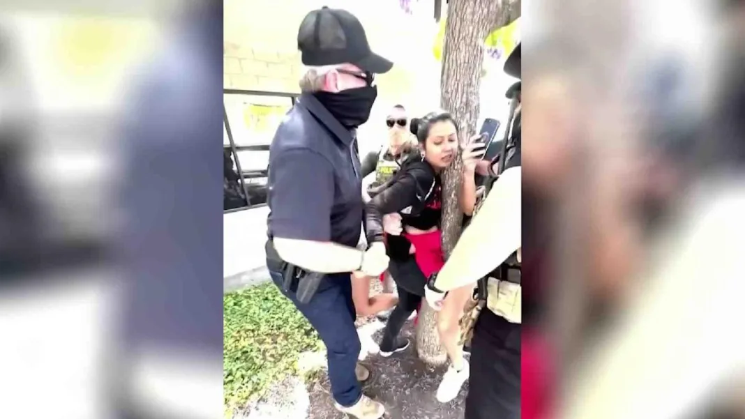 Vendedora de tacos se aferra a un árbol